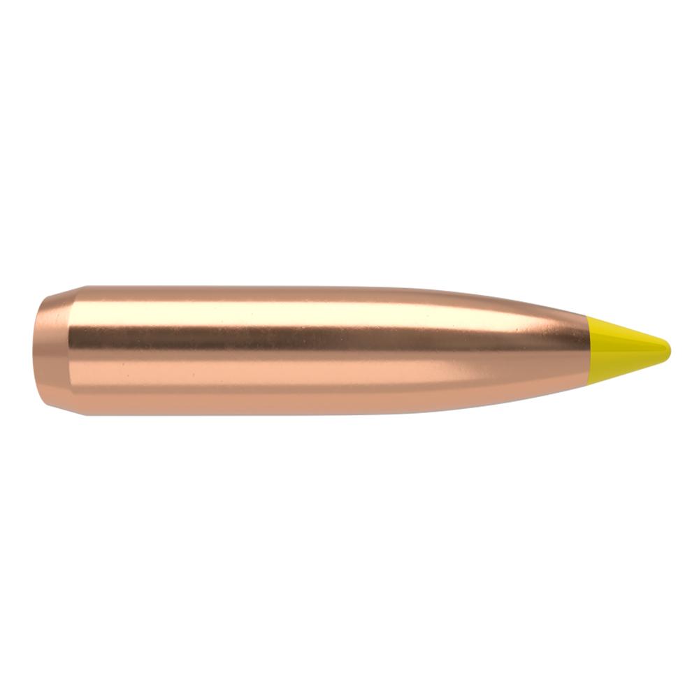 Nosler BT-270 170g SP (50ct)