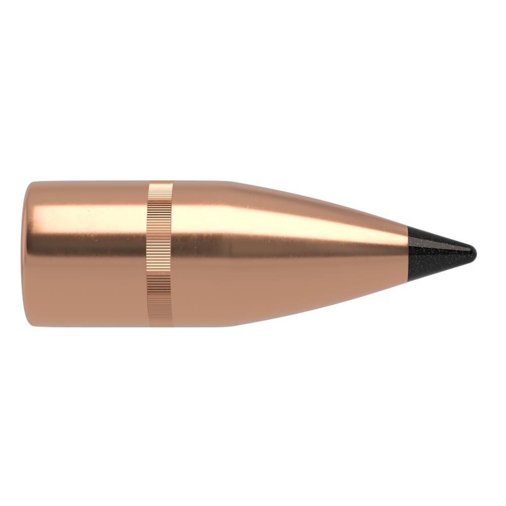 Varmageddon 310 123 FB Tipped-100ct bullet