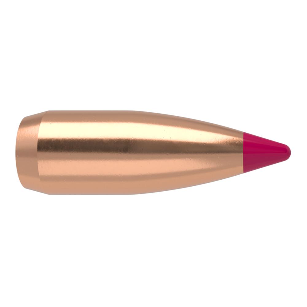204CAL .204 32 GR SBT BTIP  V100