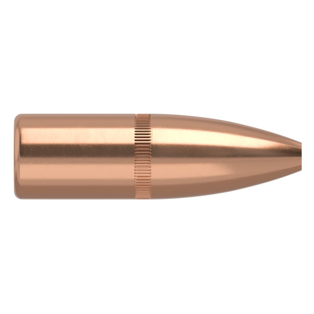 22CAL 62GR VARMAGEDN FBHP 250ct
