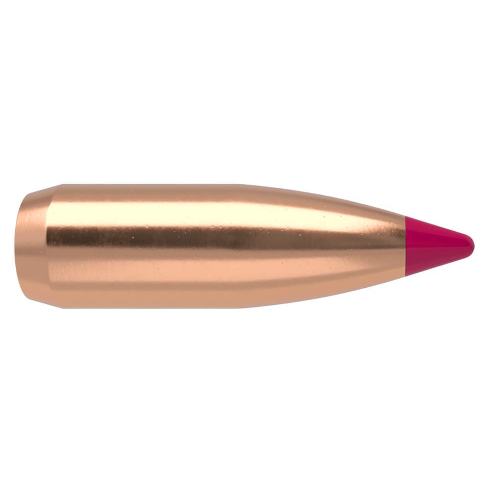 20 CAL .204 40 GR SPT BSTIP V100