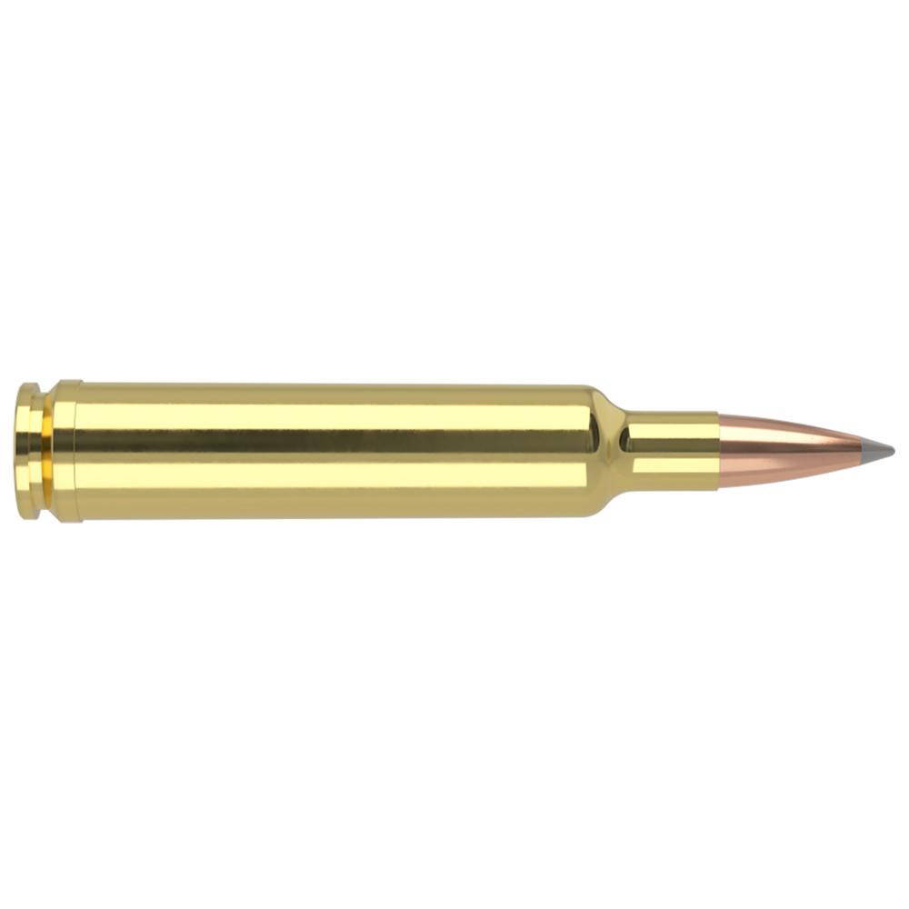 30-378 WBY MAG 210 ACB LR 20 AMO