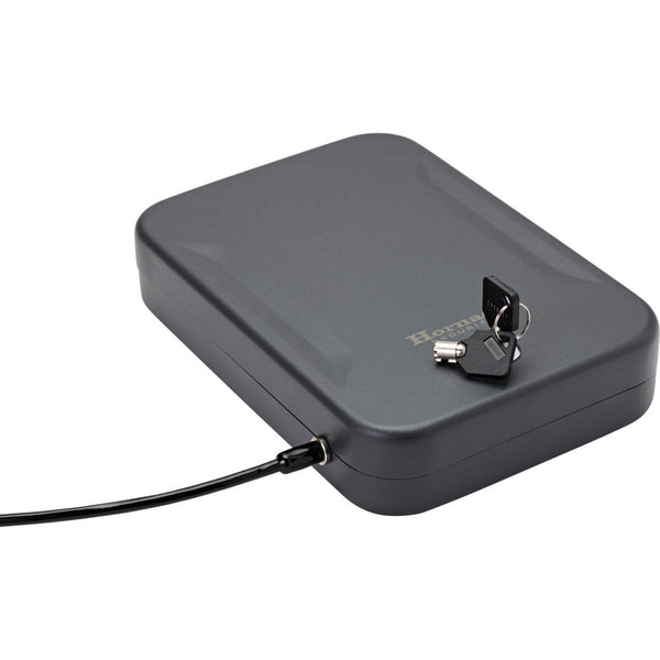 Lock Boxes & Gun Locks