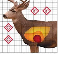 MULE DEER SIGHT IN TARGET 25 X 25  5 PACK