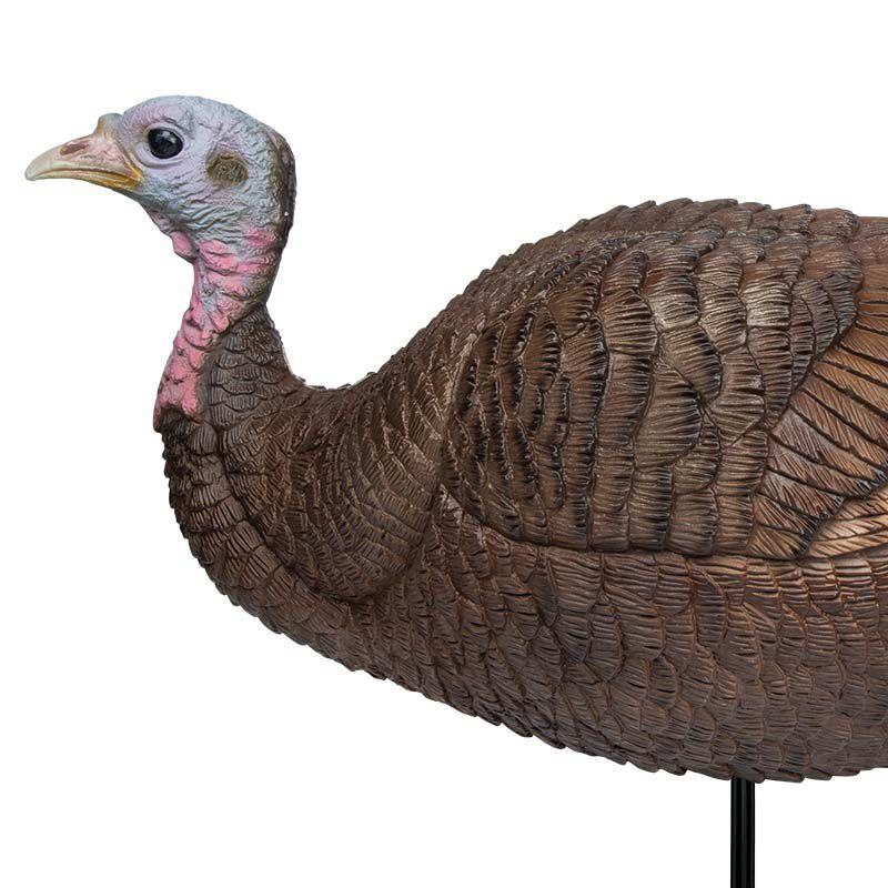 Lil Gobstopper Hen