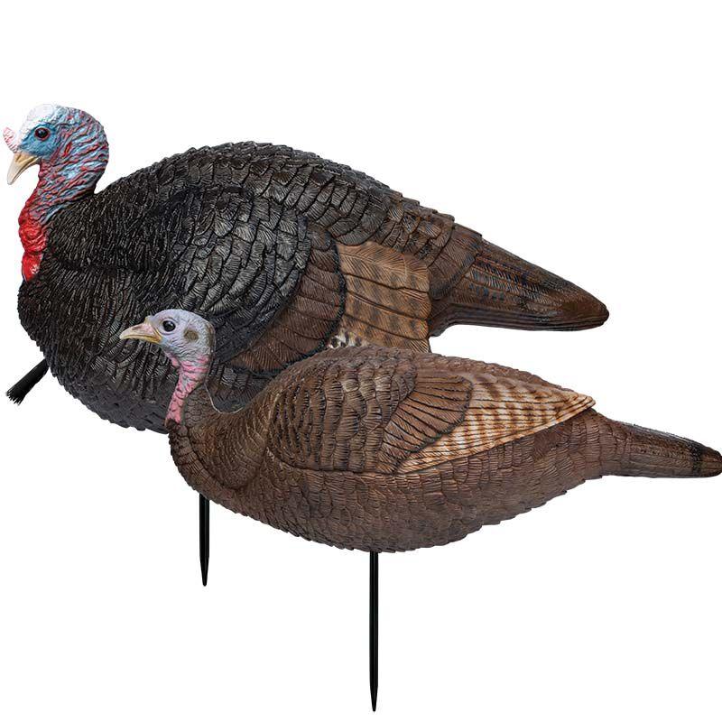 Lil Gobstopper Hen and Jake Combo