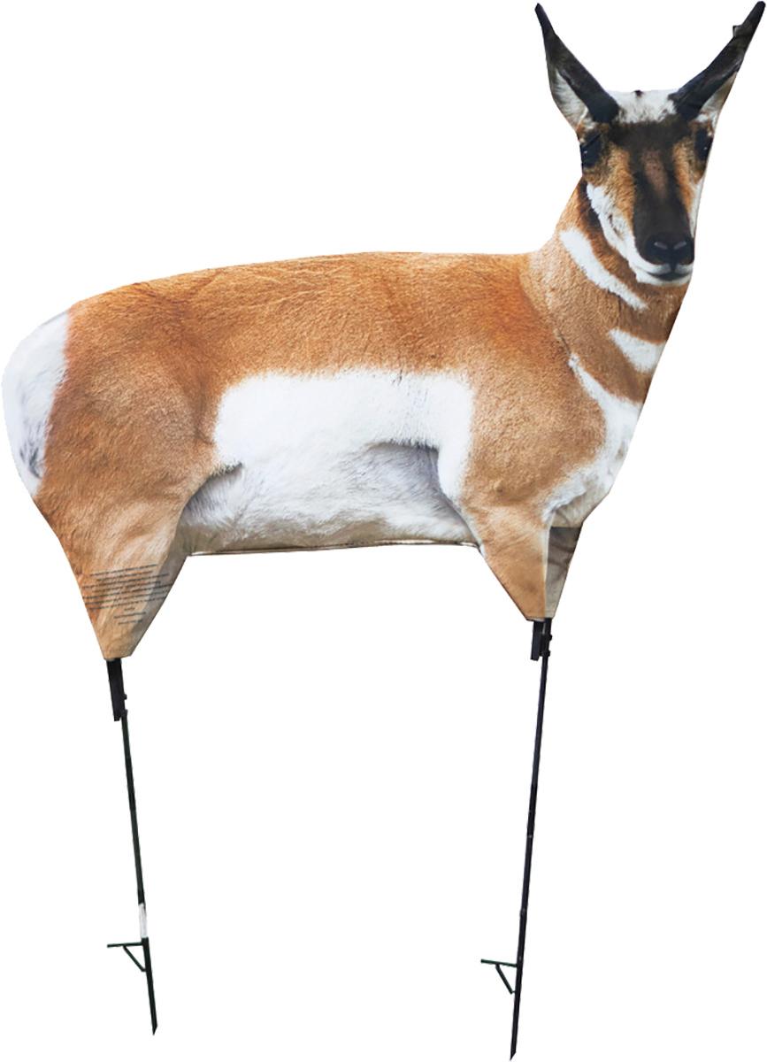 Montana Decoy Antelope Buck