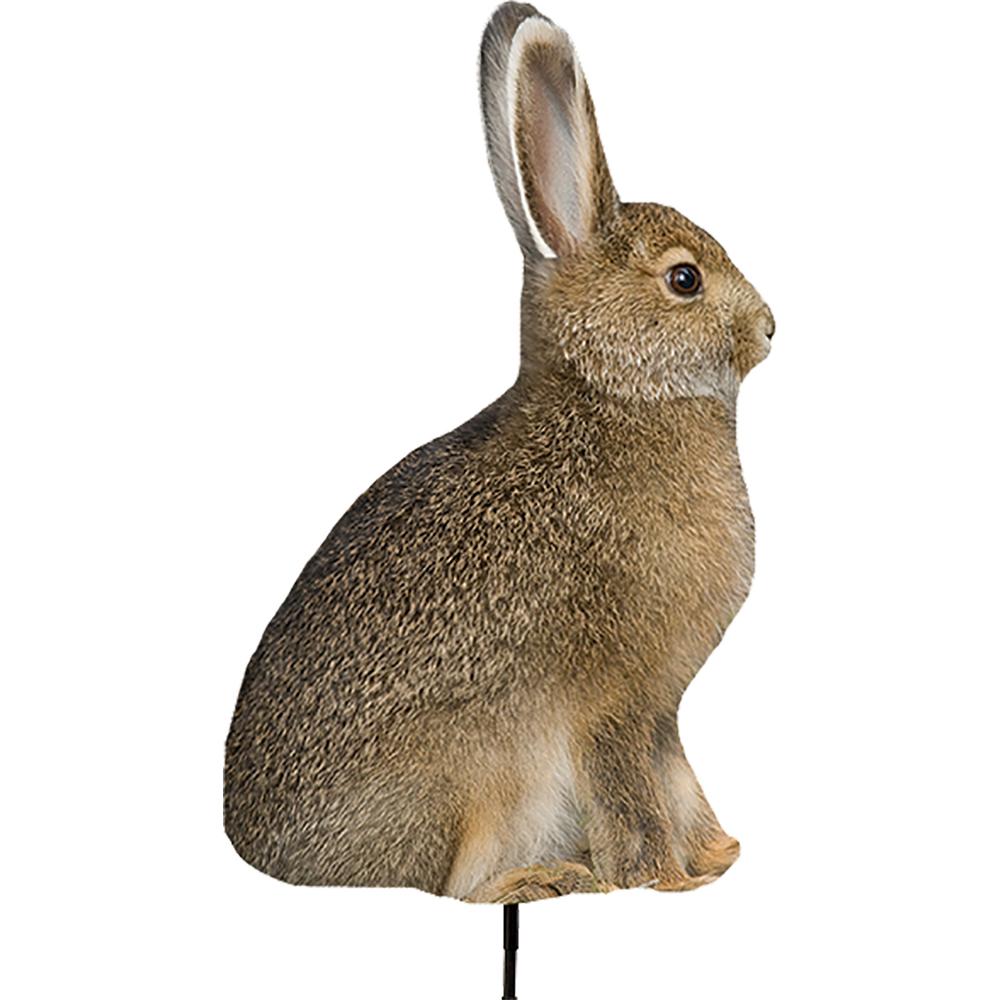 Montana Decoy Miss Hoptober