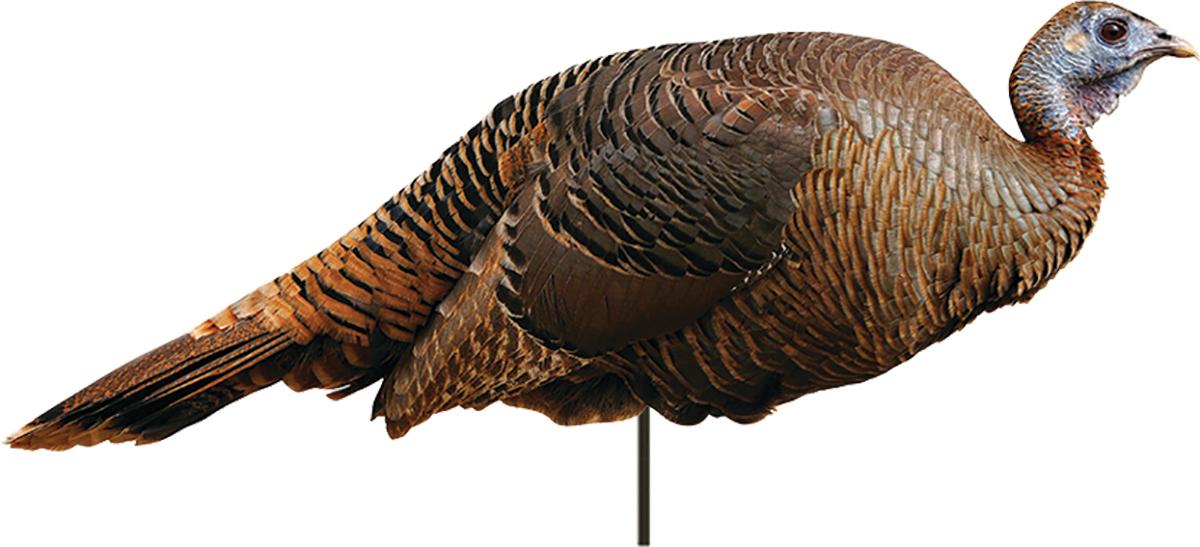 Montana Decoy Spring Fling Hen