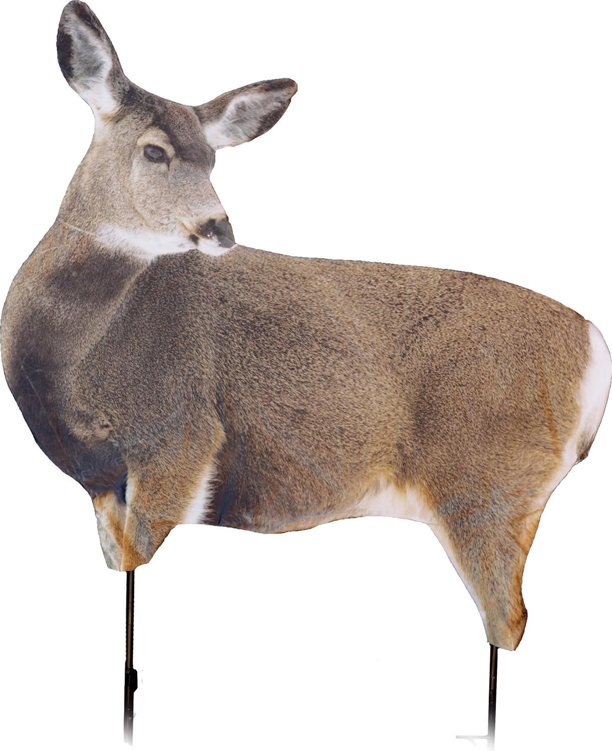 Montana Decoy Miss Muley