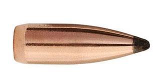 22 CAL 224DIA 55GR SBT