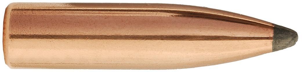 6MM 243DIA 100GR SPT