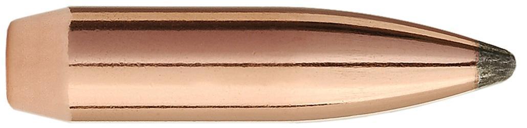 25 CAL 257DIA 117GR SBT