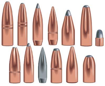 SPEER SP 30 CAL 110GR FMJ RN