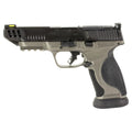 Smith & Wesson M&P M2.0 - 9MM 5" 17rd (Cerakote Finish) [SW13718]