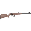 RB 22LR BK/BK 16 10 rds COMPACT FDE