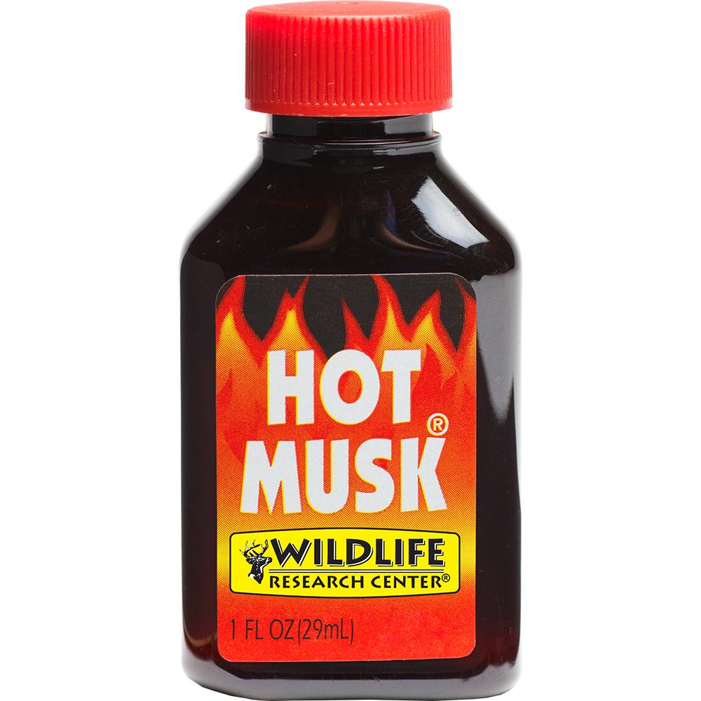 HOT MUSK SCENT 1OZ