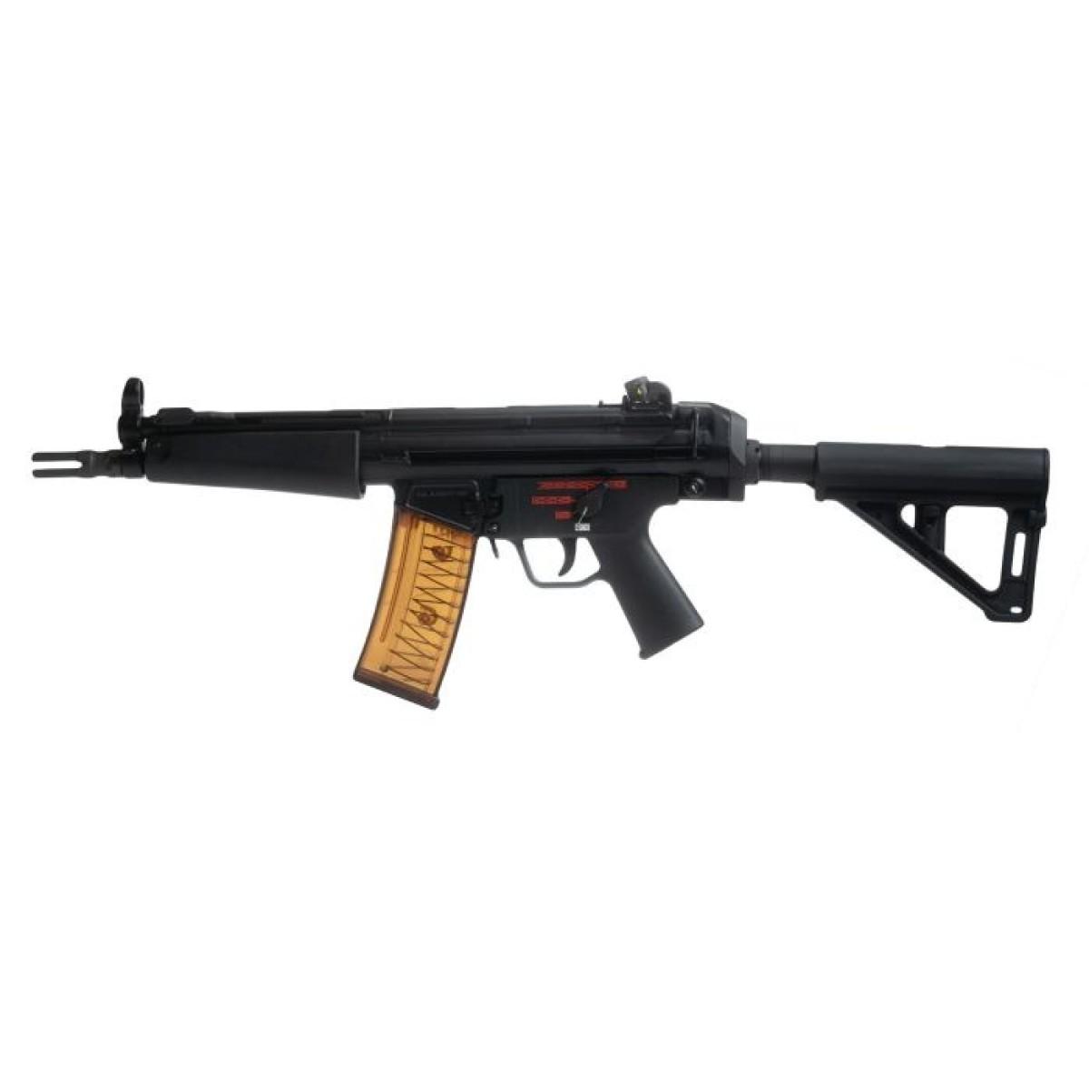 AP53 w/Magpul BSL Brace 5.56 2-30rd Mag