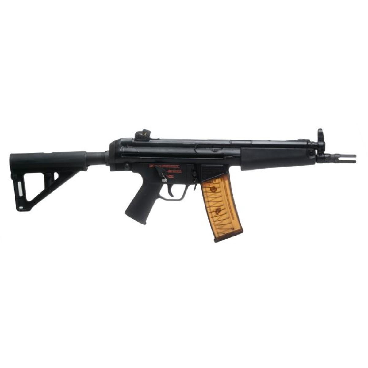 AP53 w/Magpul BSL Brace 5.56 2-30rd Mag