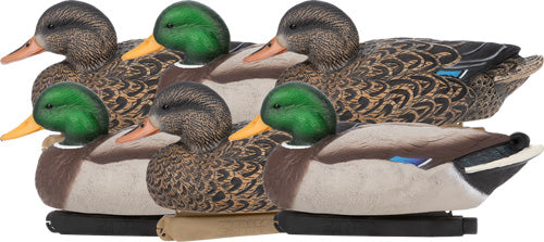 ZINK FLOATER DECOYS MALLARD