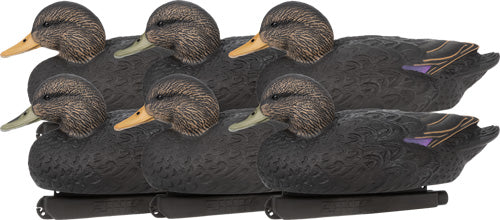 ZINK FLOATER DECOYS BLACK DUCK