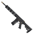 AR-15 Two-Tone Semi Auto .223/5.56 NATO Rifle 16" Barrel M4 Stock 12" Quad Rail Handguard - Black and Magpul FDE