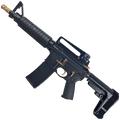AR-15 Two-Tone A2 Style Semi Auto 5.56 NATO Pistol 10" Barrel w/ Custom FSB - Black and Bronze