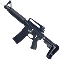 AR-15 Two-Tone A2 Style Semi Auto 5.56 NATO Pistol 10" Barrel w/ Custom FSB - Black and White
