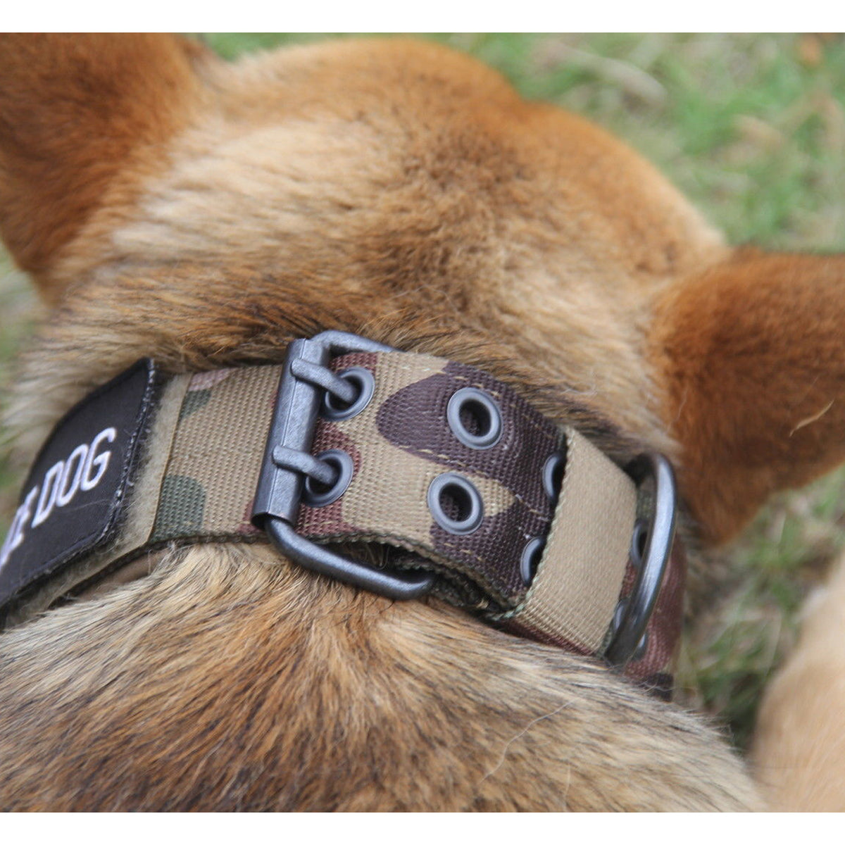 Tactical Scorpion Gear - Dog Collar Canine Dog K9 Training Military- Nylon